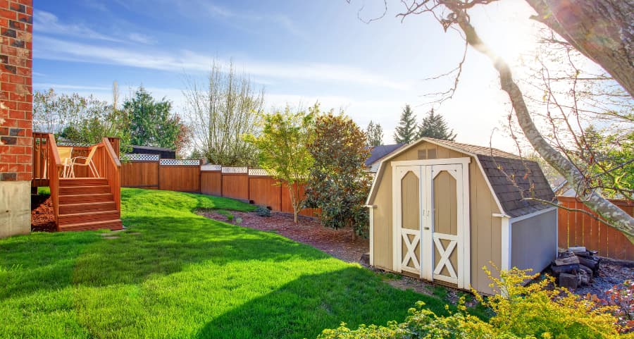 Fenced backyard with storage shed in San Bernardino